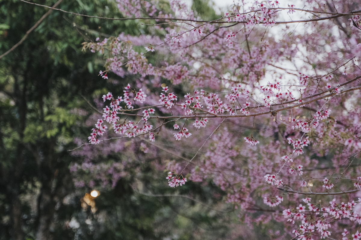 b4720754f147af199366.jpg