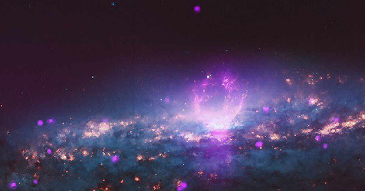 b4779c84d3922c9e0c09.jpg
