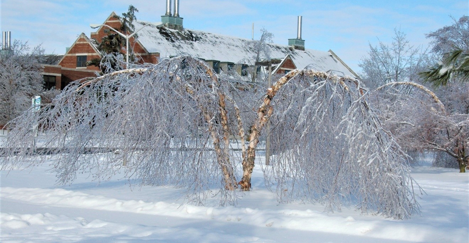 b4bc709ab036627742f6.jpg