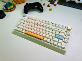 b4bcb5441e55dddbe4e5.jpg