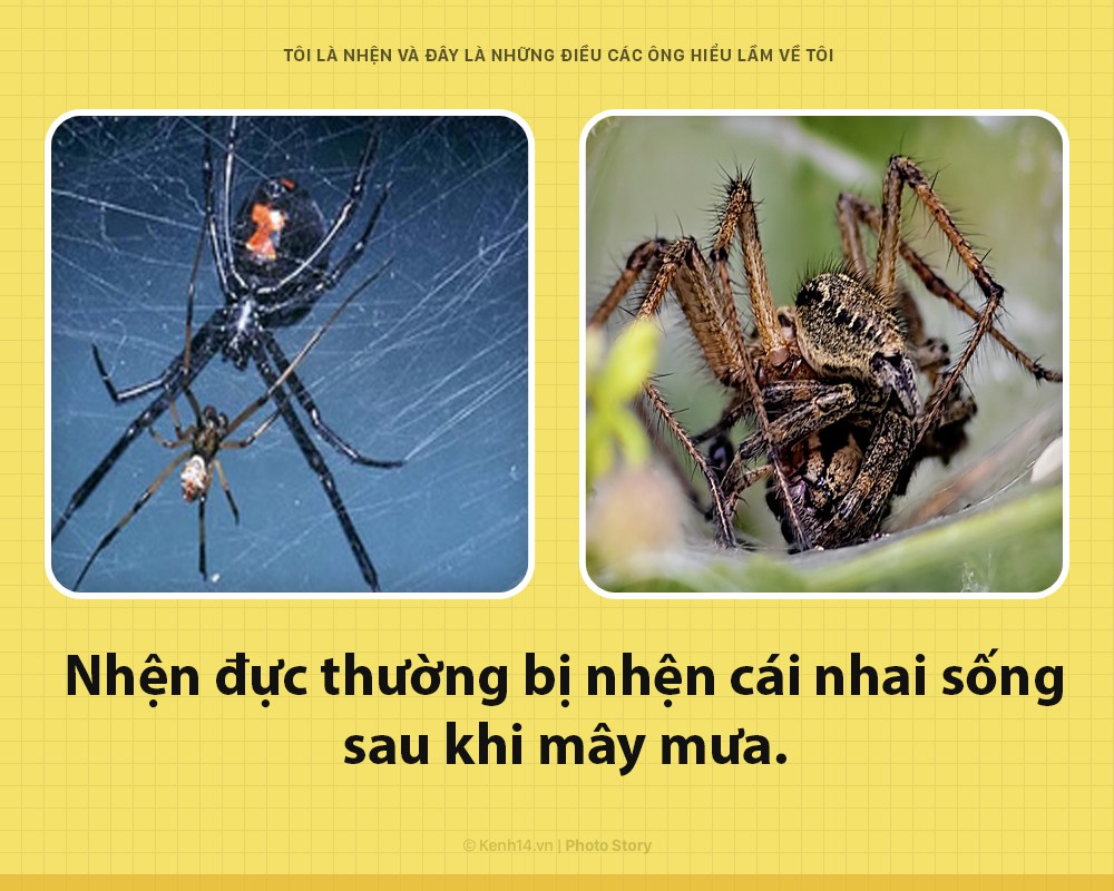 b4d3aed23293e1888a24.jpg