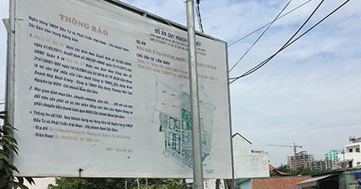 b505562a8e04a5bab4f0.jpg