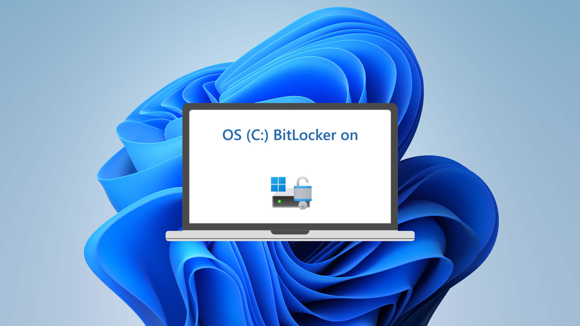 b55455ae74e7483d1bcc.jpg