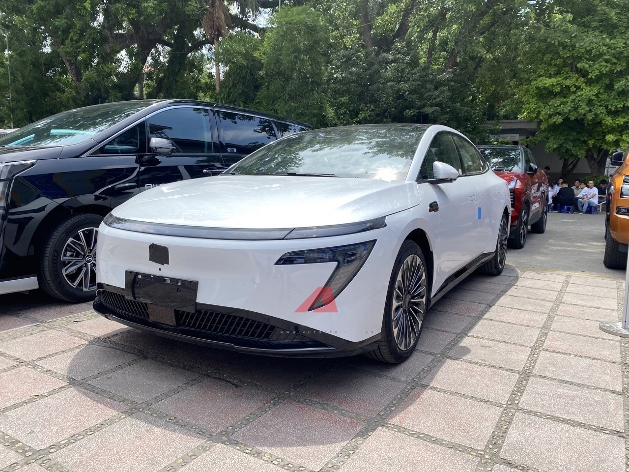 b579e994e170e72a175e.jpg