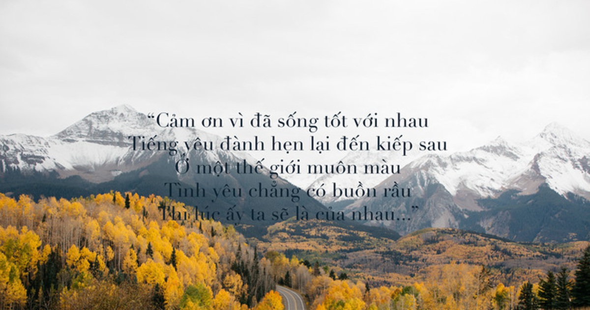 b57d87088e1ef1edc23f.jpg