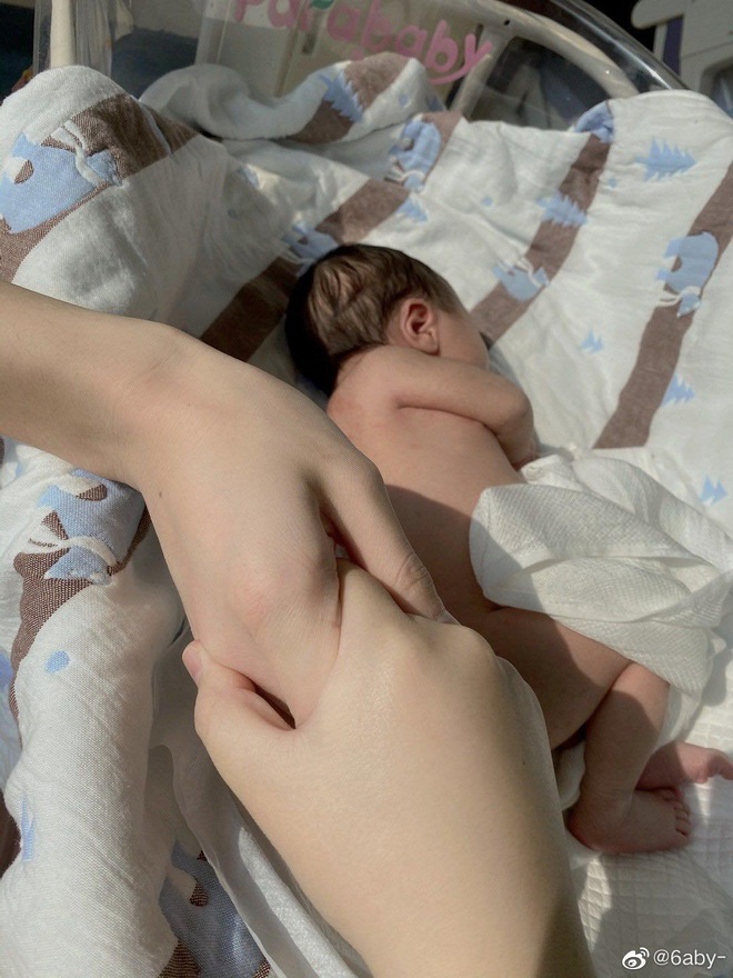 b5a2c9f538db97c633a2.jpg