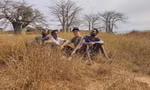 b5b1bd323dda183fbc46.jpg
