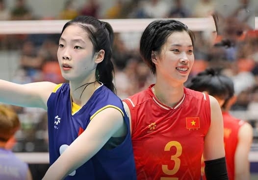 b5d939a12fd4377a4ffe.jpg