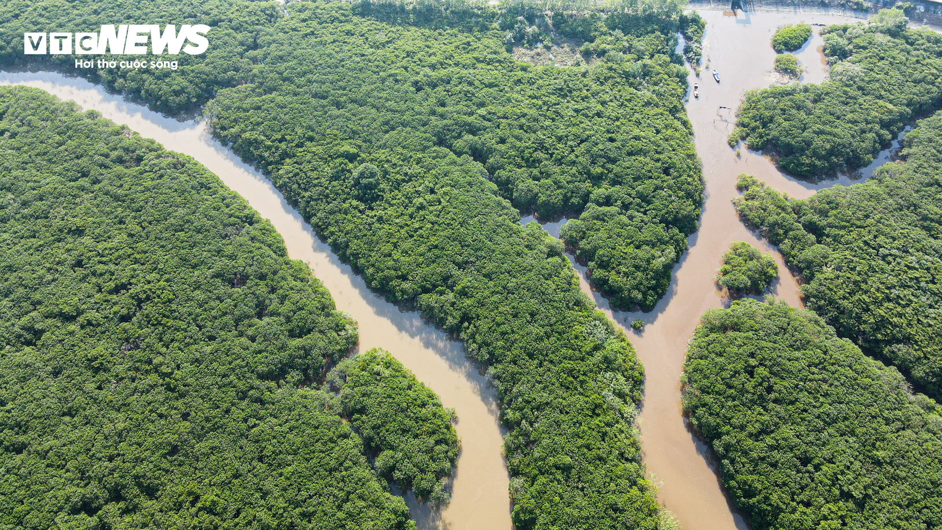 b62ec2eca5a72d68140e.png