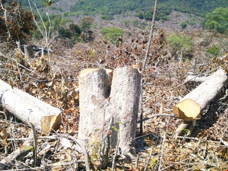 b63eeced99c85820d318.jpg