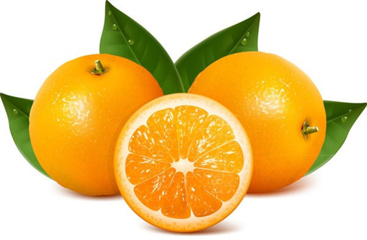 b65232c2f7ec7d3b9444.jpg