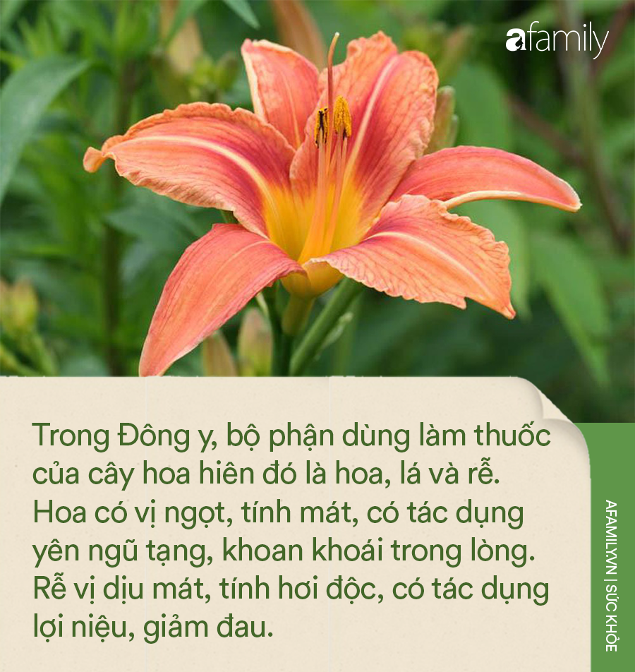 b69440b2309d68ab9bf5.png