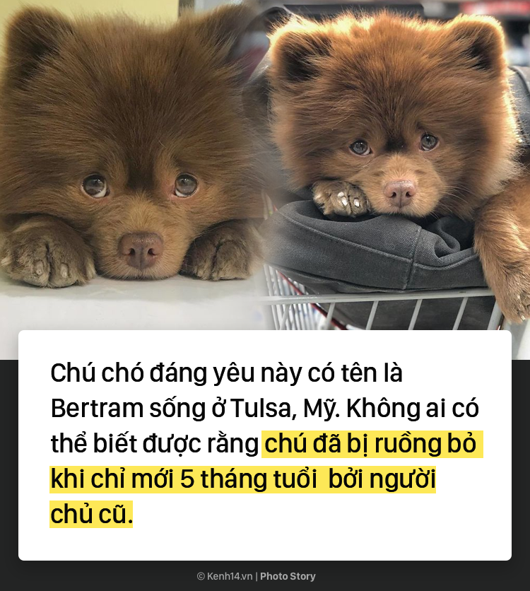 b6b7378d435396e4c9a9.png
