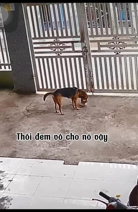 b6c63b5d4fe0cc7d902f.jpg