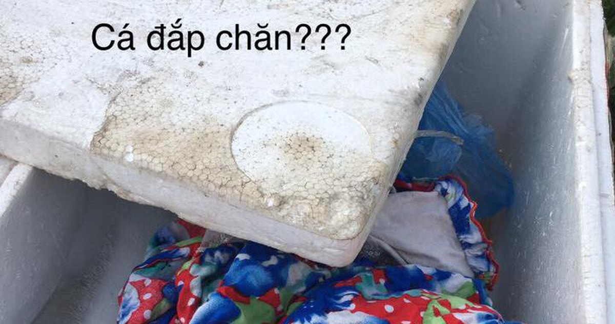 b6c82c8b61101c43177d.jpg