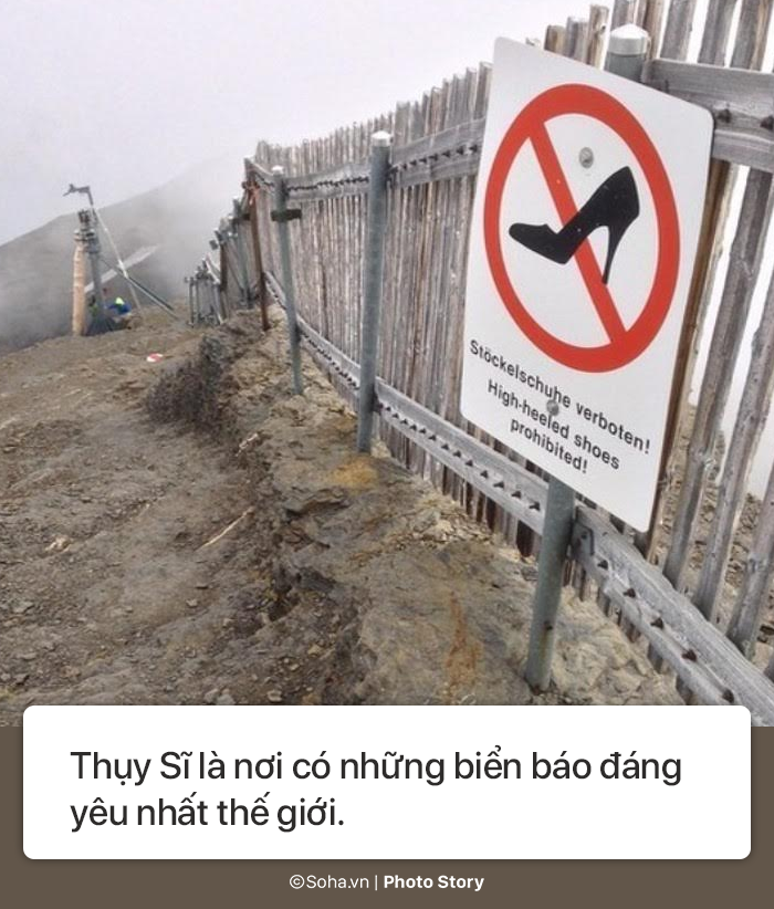 b78535672ffc9a3110c8.png