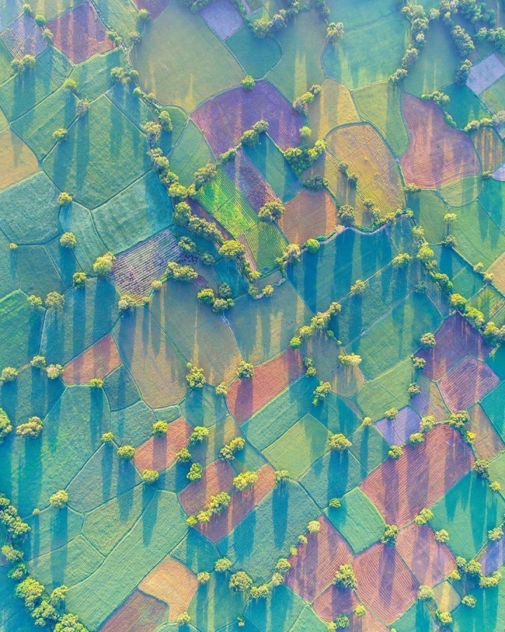 b7c9380ee43383f2d79a.jpg