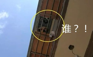 b84b1a039737ac9abda7.jpg