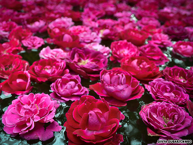b856101f7a9339fad9c5.jpg
