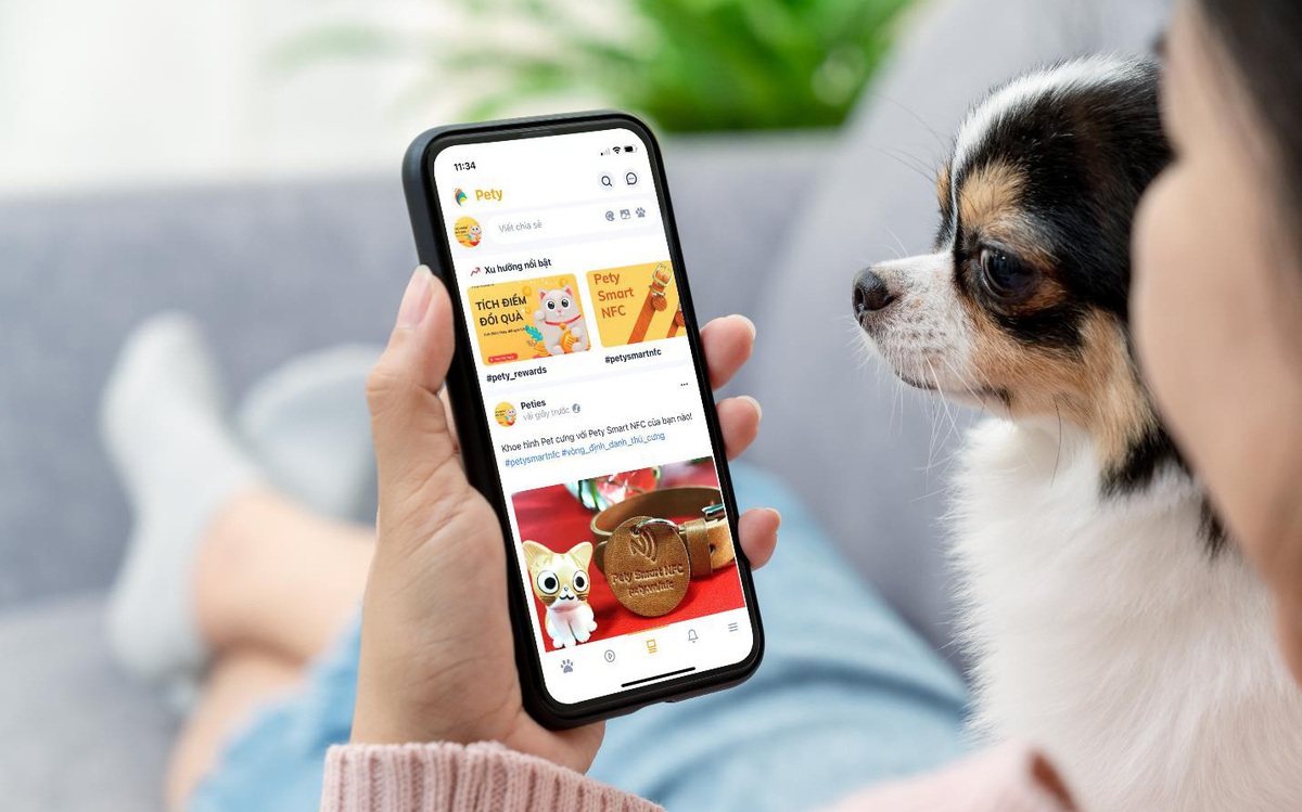 Pety - App "cứu cánh" của hội sen đang làm mưa làm gió, bạn đã thử chưa?