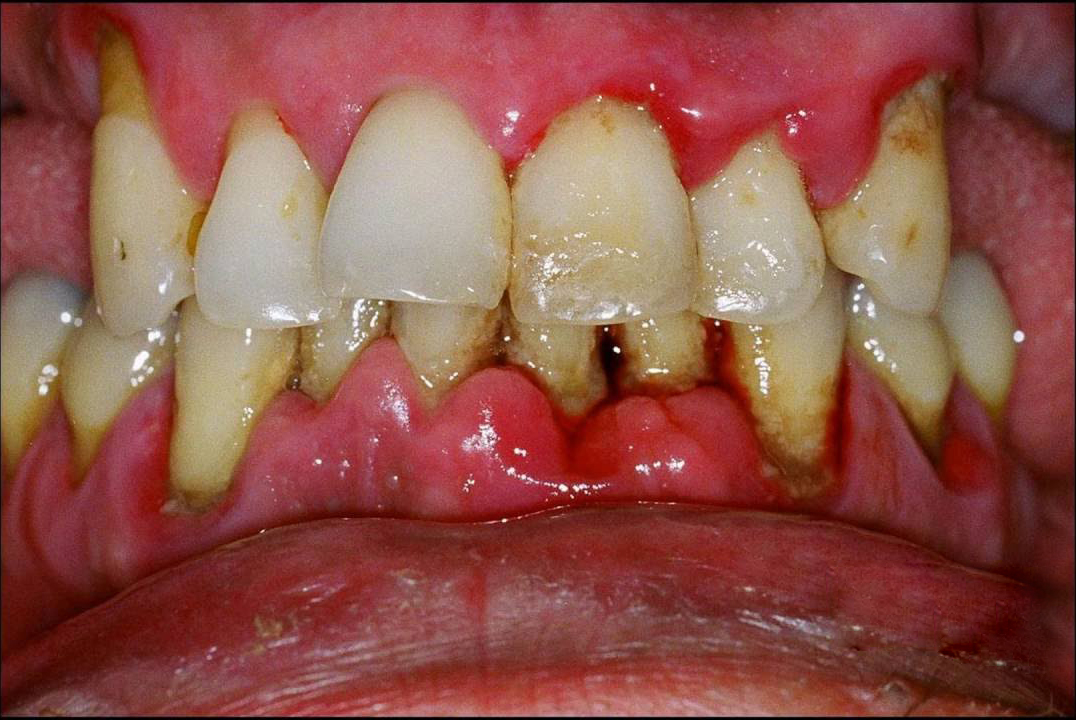 b8c2762ee381e1b7aa98.jpg