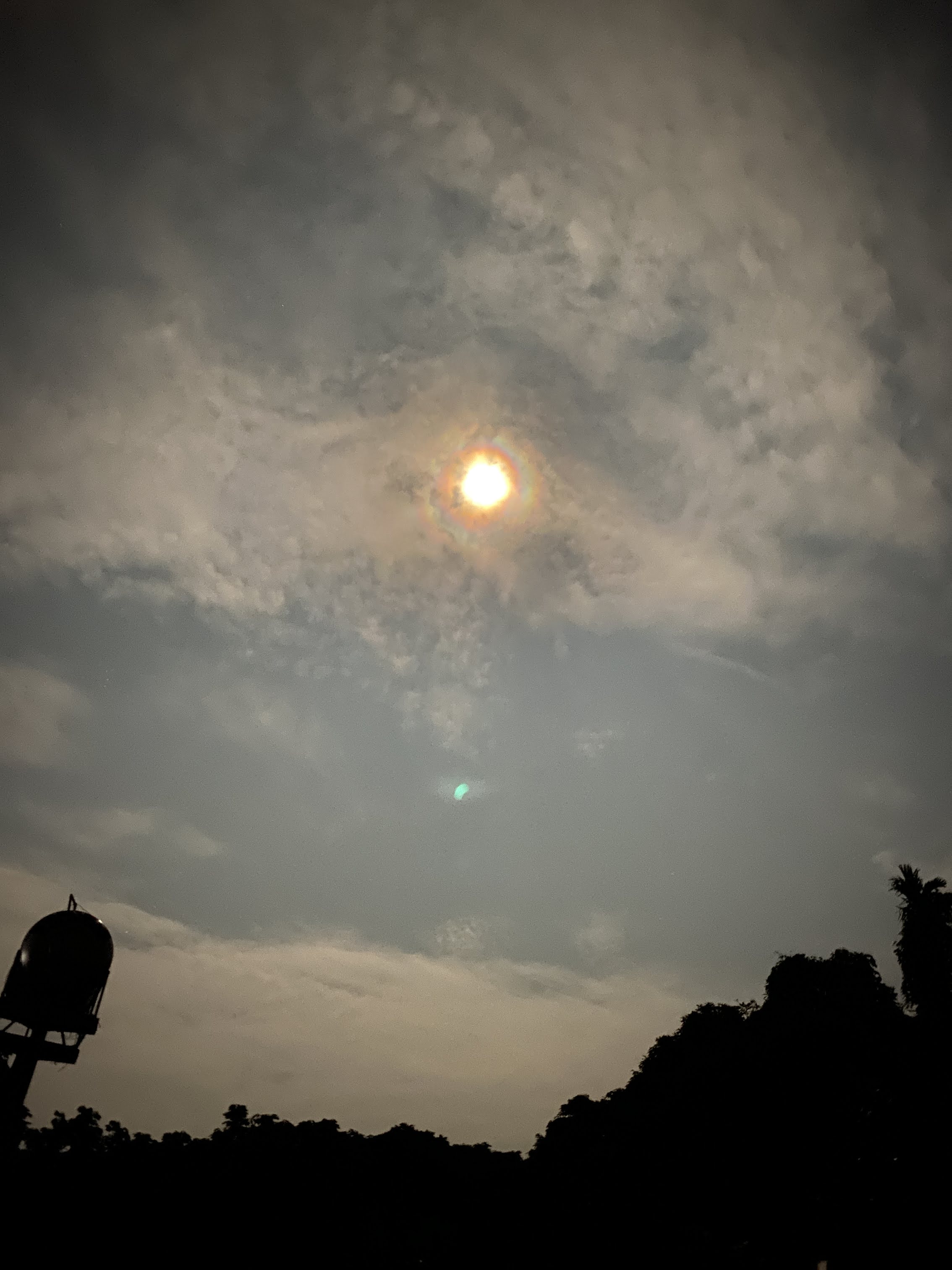 b8d5a08aa4812a1657b0.jpg