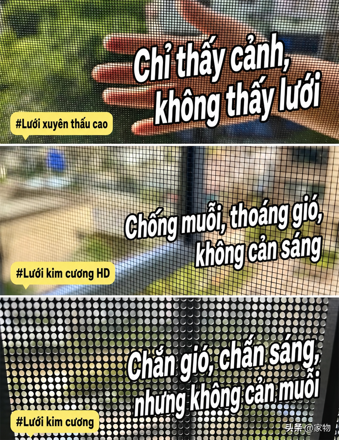 b8ecf310a135ab66fc02.png