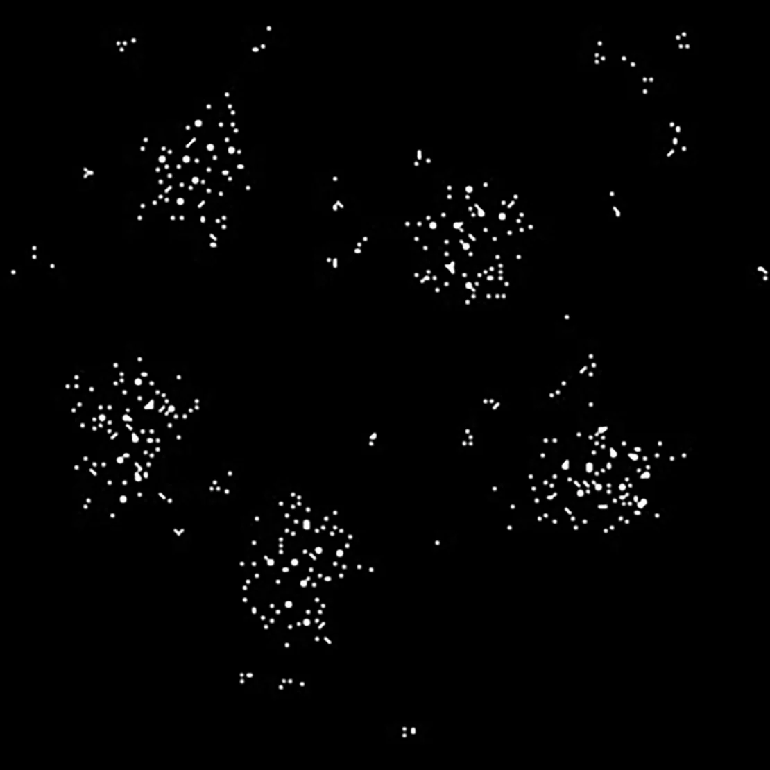 b8ededa7c24a89cf0d9b.webp