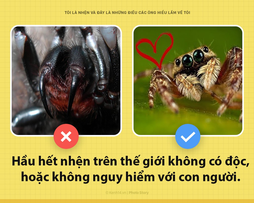 b8f0863b1846134ec4b2.jpg