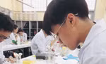 b93136fb7a20c14c1a03.jpg