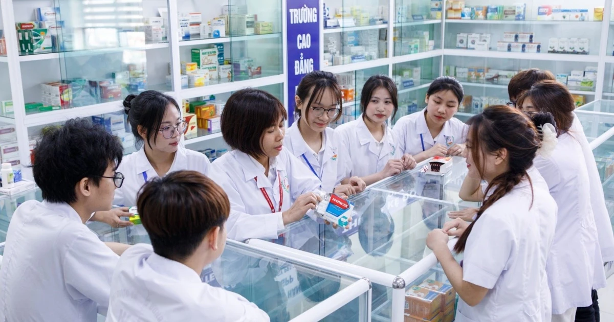 Trường Cao đẳng Dược Trung ương Hải Dương tăng tốc tuyển sinh năm 2026 - Cơ hội vàng cho Gen Z đam mê ngành sức khỏe