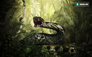 b9476fd1314b5b58fd4e.png