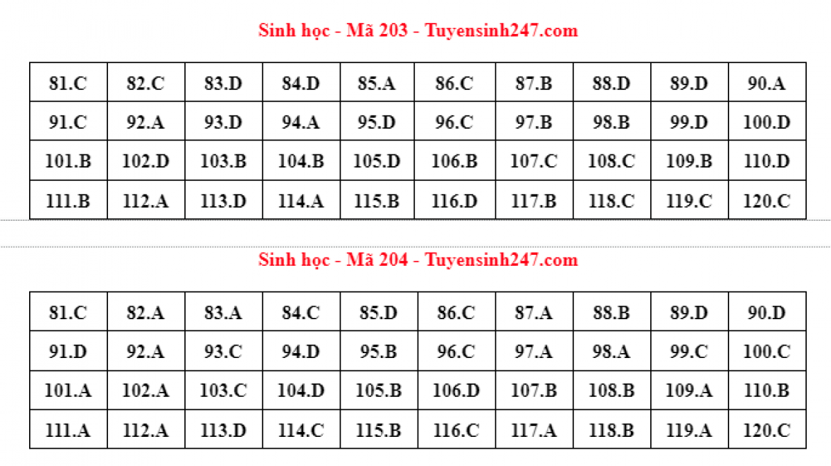b9486a244050d6dacbc0.png