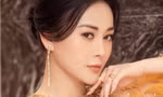 b9be1789695bdcaa6ccb.jpg