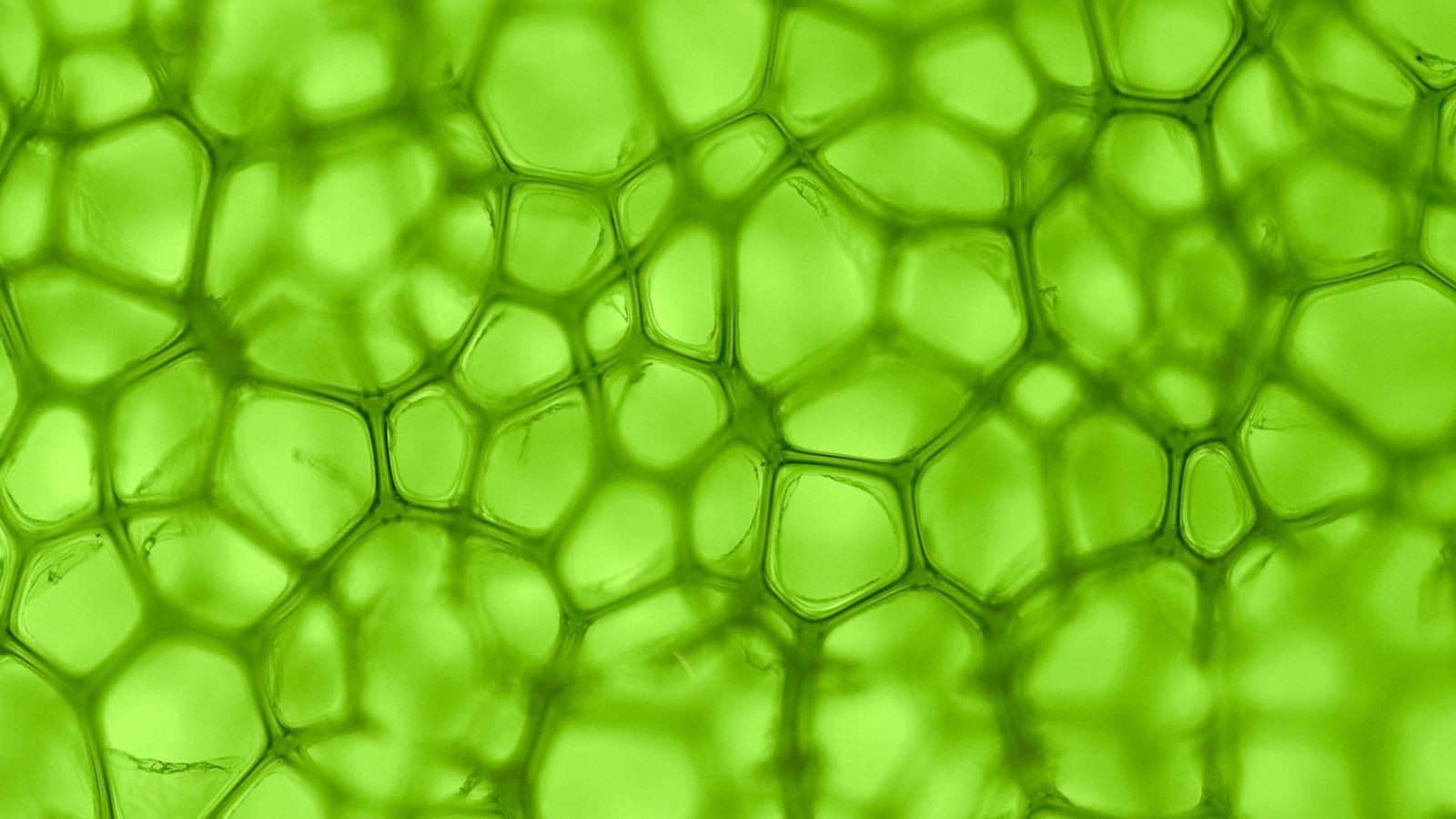 b9ca7878a36a0df2e03e.jpg