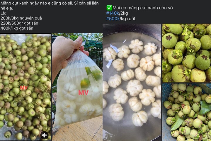 b9dabd501c8e4eab672c.jpg