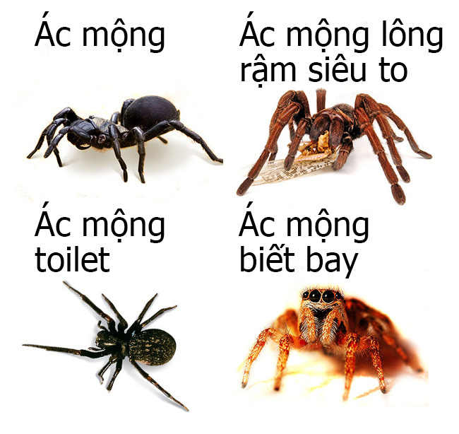 ba32a334170d13c1e880.jpg