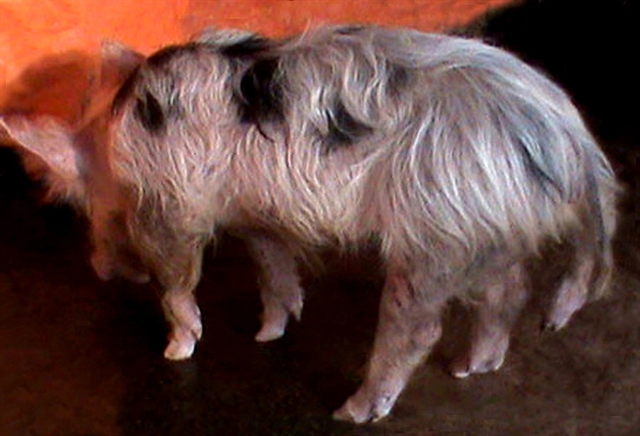 ba3e02f8756321e016bc.jpg