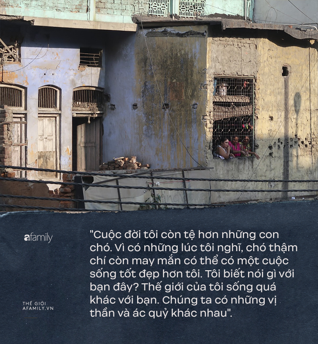 ba5b5eb1bc341cb8e822.png
