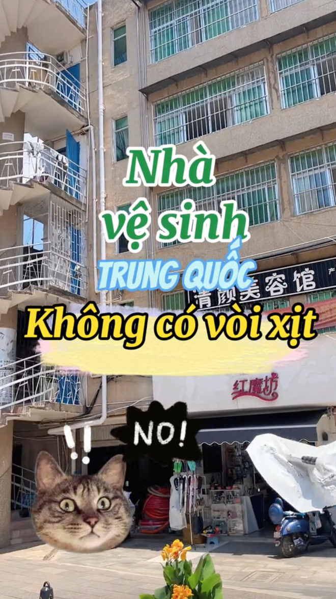 ba6709bdd71cf58439f7.png