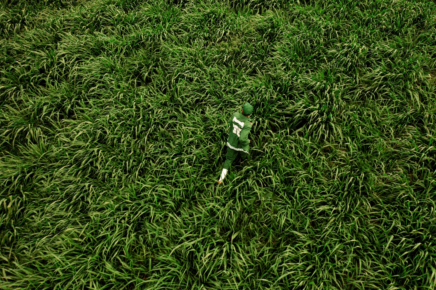 ba6d94b39dfdf1d4827c.jpg