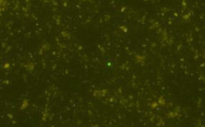 ba86f6e025c097b4b718.jpg