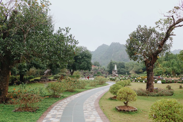 ba89f441facd60fb202f.jpg