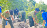 ba9ce30d742b46b88756.jpg