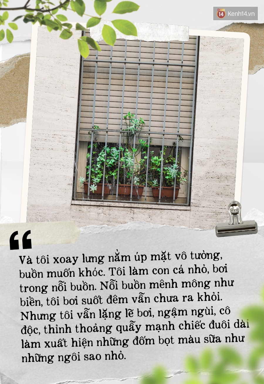 bac1c1b125c44678b118.jpg