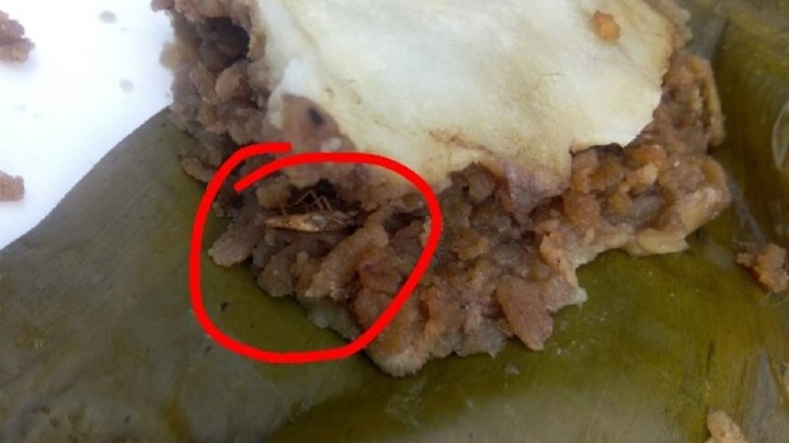 baceaa8ba11055ba66cb.jpg