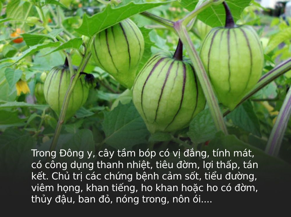 bb3df0819c79405af43f.jpg
