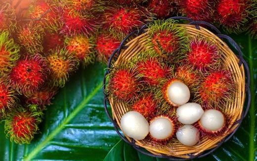 bb41635e320dac543242.jpg