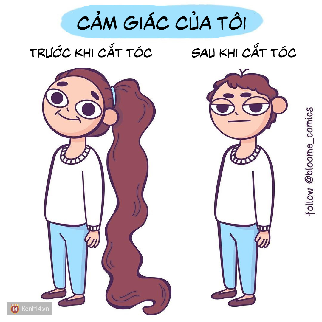 bb4331a2ba7443e8f1b7.jpg