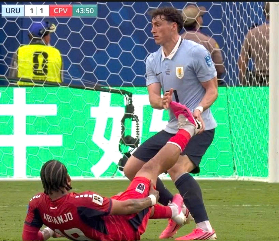 bb49cfb0aa7e460252e7.jpg